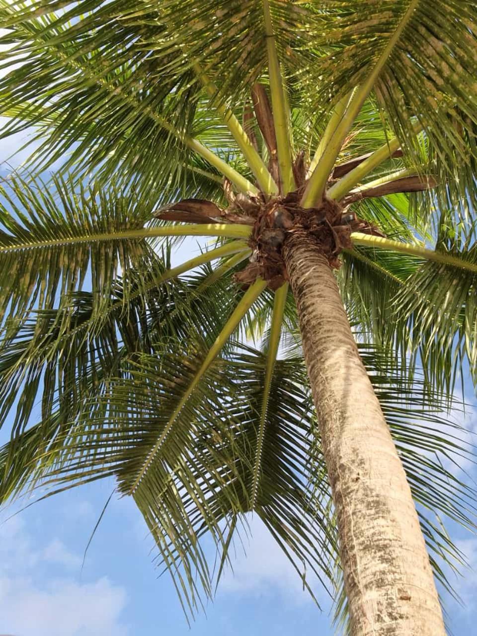 Felix, T2 Acces Plage Gros-Raisins Sainte-Luce Exterior foto