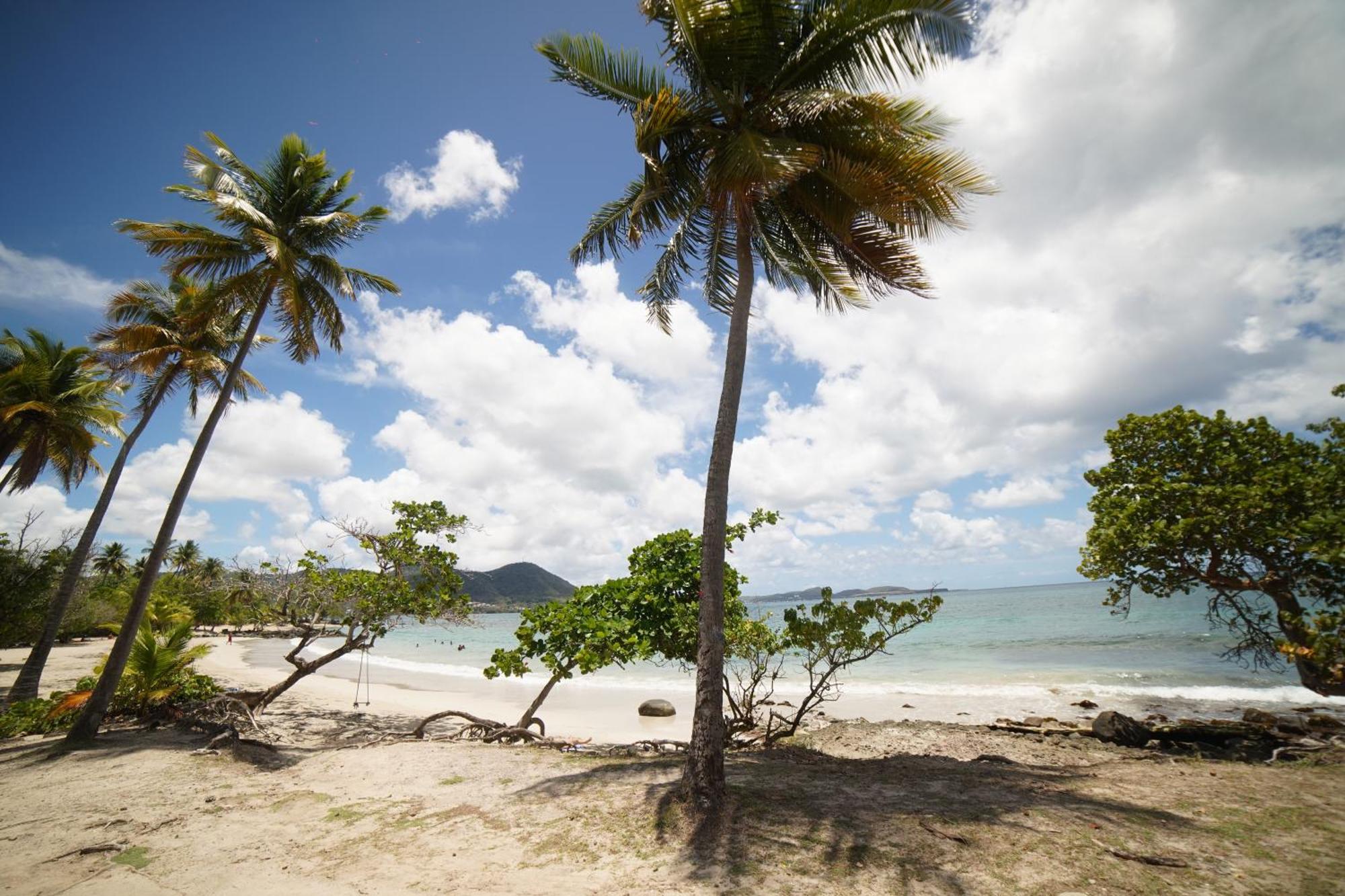 Felix, T2 Acces Plage Gros-Raisins Sainte-Luce Exterior foto